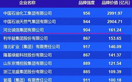 公司位列中国能源化工行业品牌价值排行榜第三名