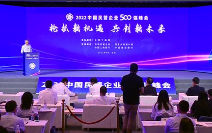 我公司再次入选中国民营企业500强名单